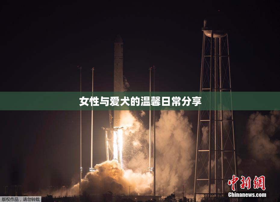 女性与爱犬的温馨日常分享