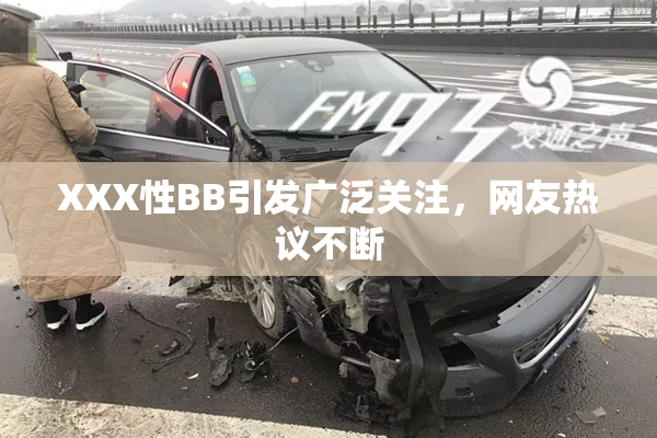 XXX性BB引发广泛关注，网友热议不断