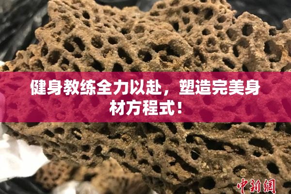 健身教练全力以赴，塑造完美身材方程式！