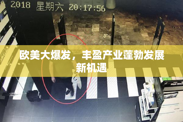 欧美大爆发，丰盈产业蓬勃发展新机遇