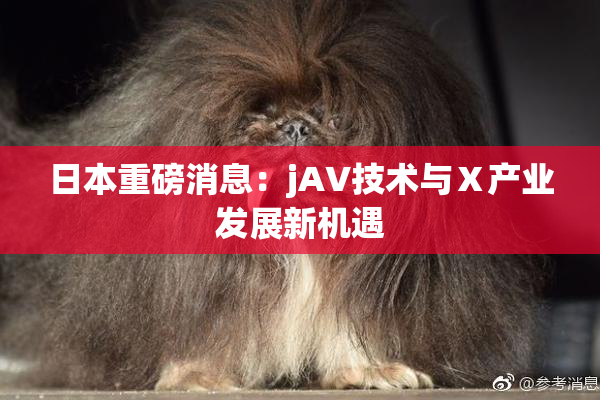 日本重磅消息：jA∨技术与Ⅹ产业发展新机遇