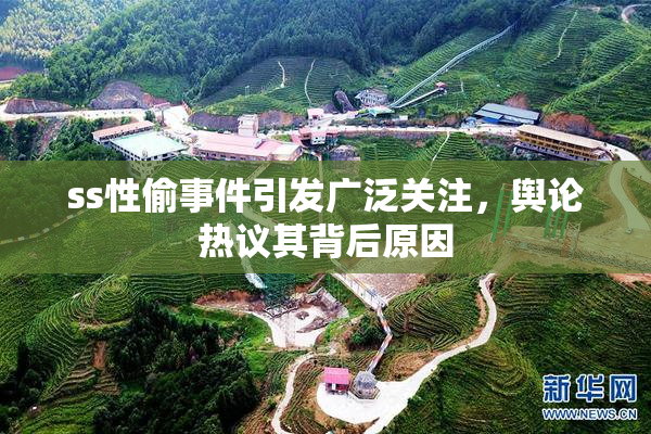 ss性偷事件引发广泛关注，舆论热议其背后原因