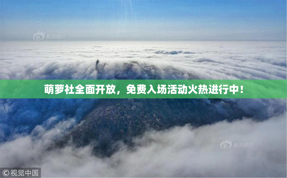 萌萝社全面开放，免费入场活动火热进行中！
