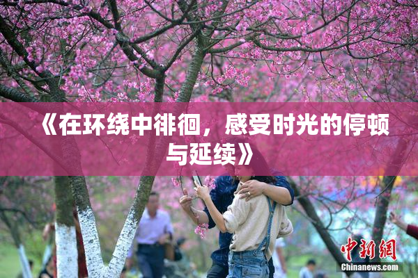 《在环绕中徘徊，感受时光的停顿与延续》