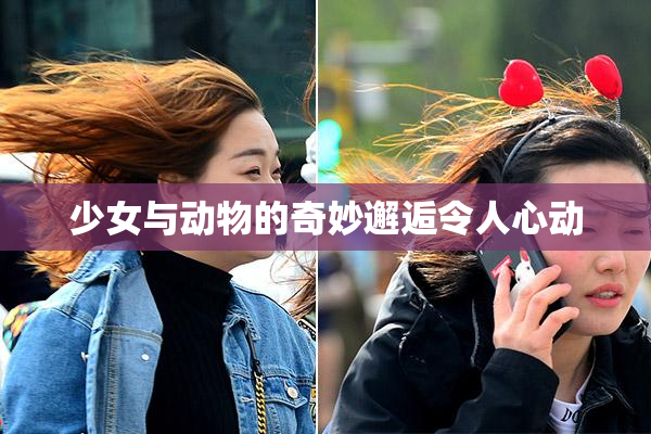 少女与动物的奇妙邂逅令人心动