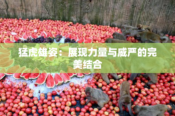 猛虎雄姿：展现力量与威严的完美结合