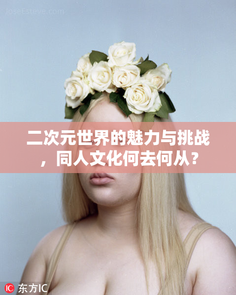 二次元世界的魅力与挑战，同人文化何去何从？
