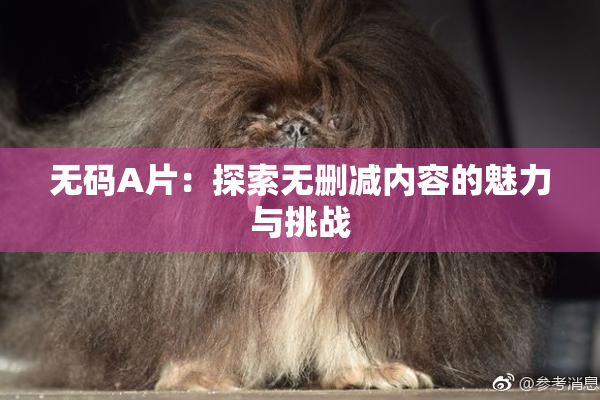 无码A片：探索无删减内容的魅力与挑战