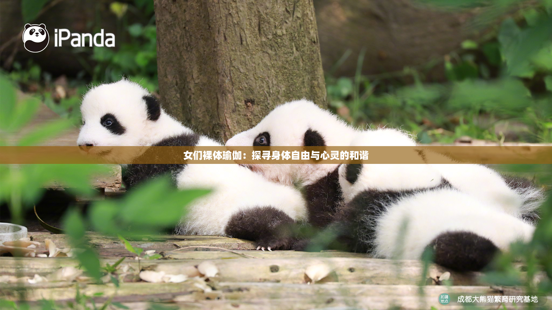 女们裸体瑜伽：探寻身体自由与心灵的和谐