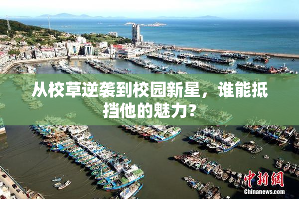 从校草逆袭到校园新星，谁能抵挡他的魅力？