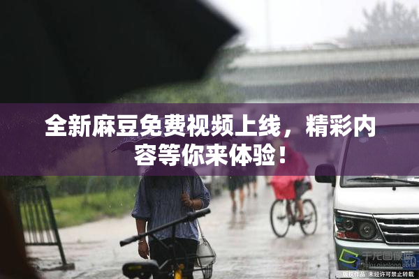 全新麻豆免费视频上线，精彩内容等你来体验！