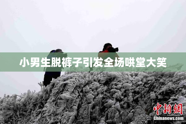 小男生脱裤子引发全场哄堂大笑