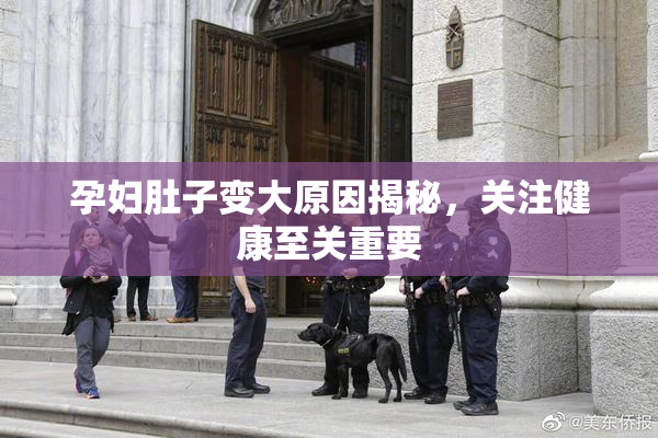 孕妇肚子变大原因揭秘，关注健康至关重要