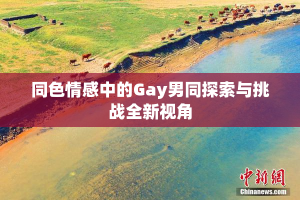 同色情感中的Gay男同探索与挑战全新视角