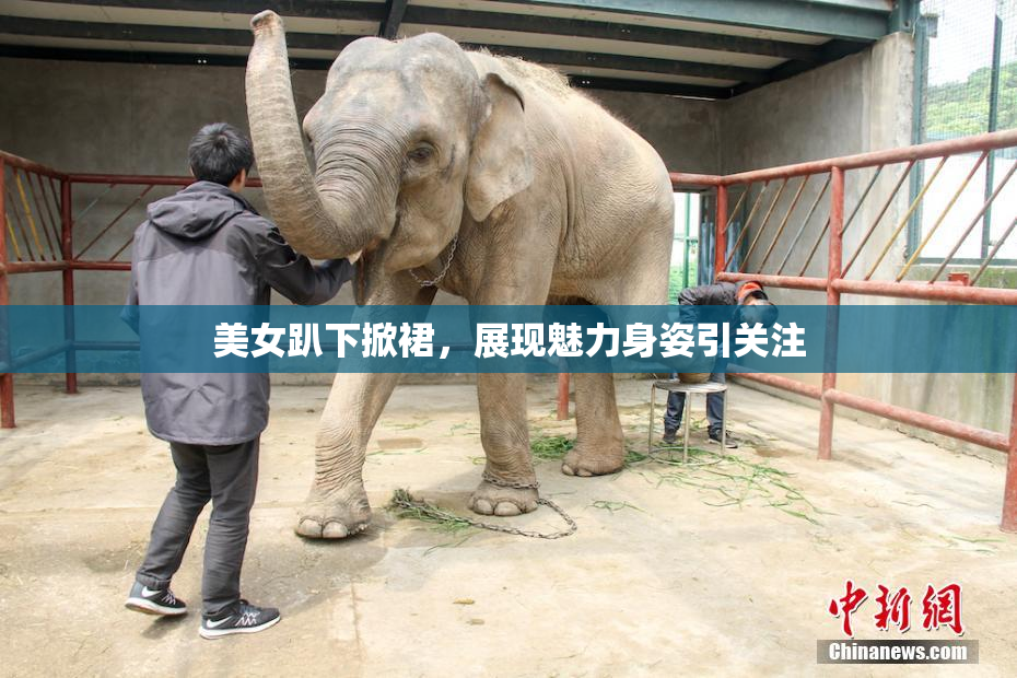 美女趴下掀裙，展现魅力身姿引关注