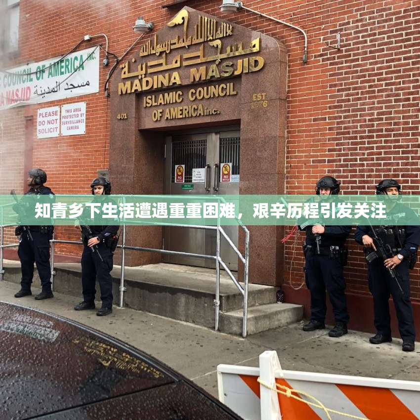 知青乡下生活遭遇重重困难，艰辛历程引发关注