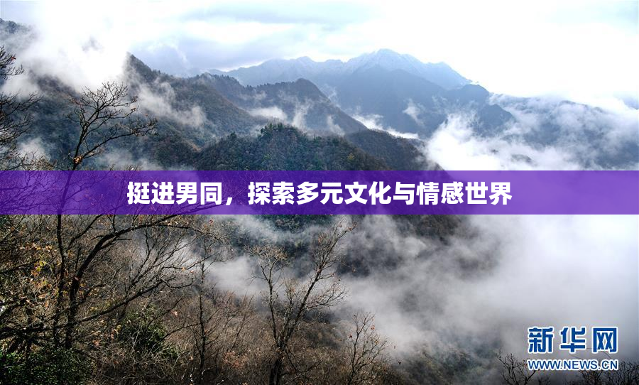 挺进男同，探索多元文化与情感世界