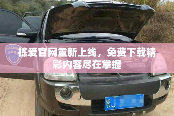 拣爱官网重新上线，免费下载精彩内容尽在掌握