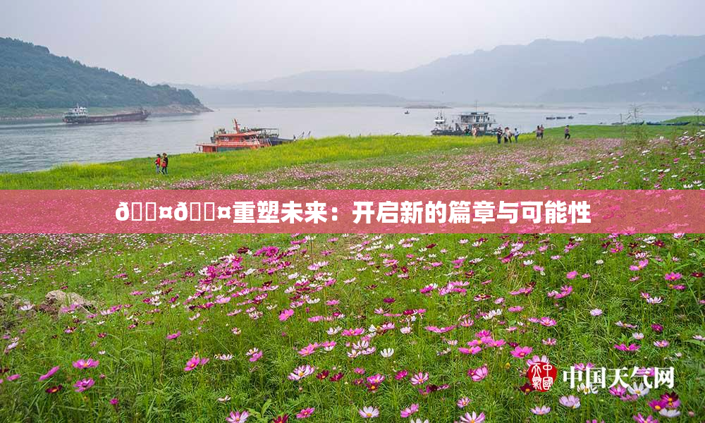 🐤🐤重塑未来：开启新的篇章与可能性
