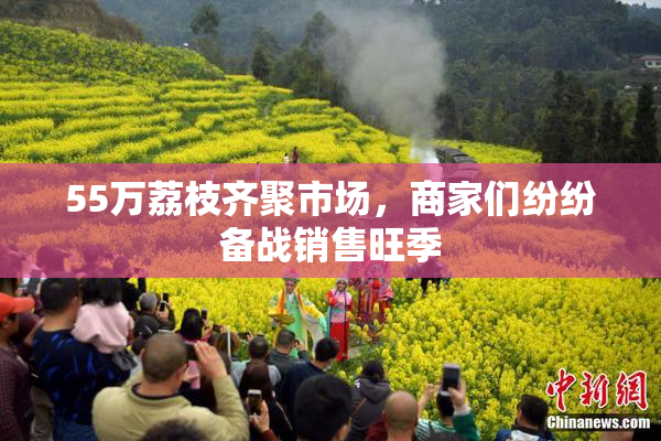 55万荔枝齐聚市场，商家们纷纷备战销售旺季