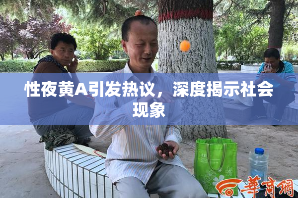 性夜黄A引发热议，深度揭示社会现象