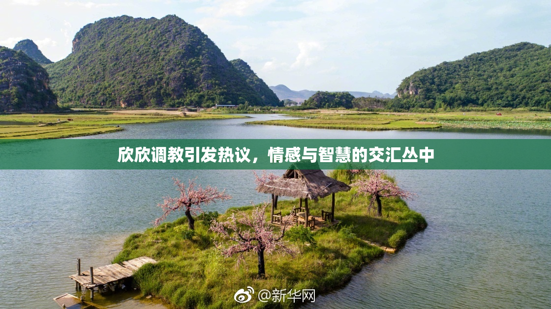 欣欣调教引发热议，情感与智慧的交汇丛中