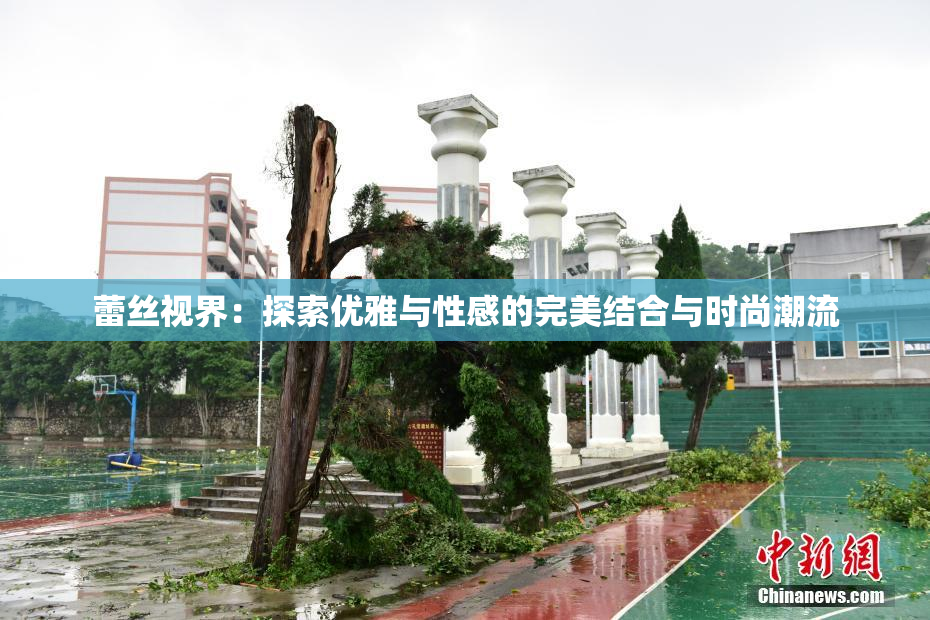 蕾丝视界：探索优雅与性感的完美结合与时尚潮流