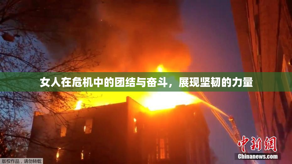 女人在危机中的团结与奋斗，展现坚韧的力量