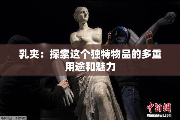 乳夹：探索这个独特物品的多重用途和魅力