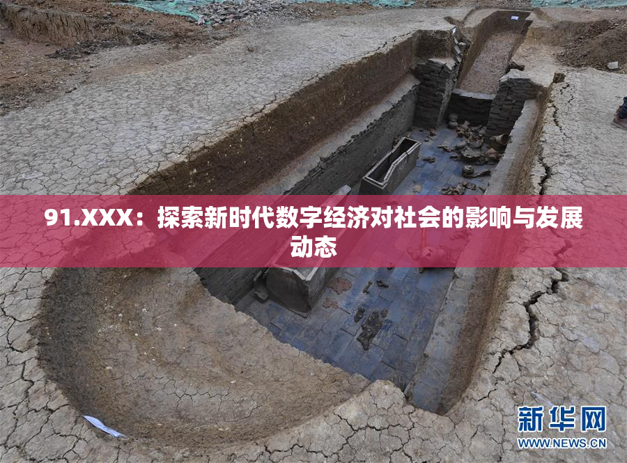 91.XXX：探索新时代数字经济对社会的影响与发展动态