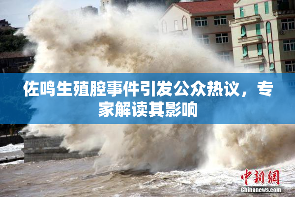 佐鸣生殖腔事件引发公众热议，专家解读其影响