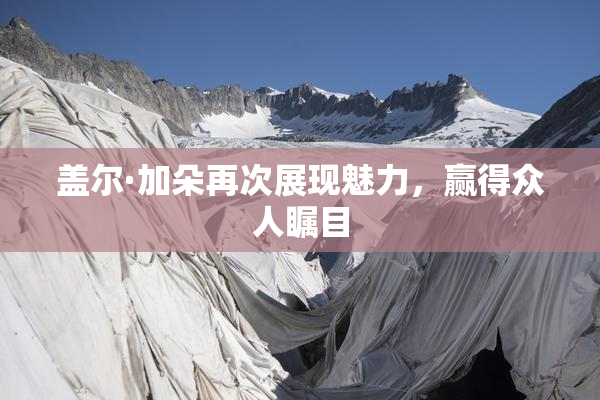 盖尔·加朵再次展现魅力，赢得众人瞩目