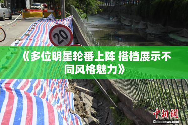 《多位明星轮番上阵 搭档展示不同风格魅力》
