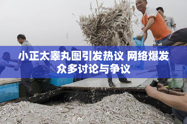 小正太睾丸图引发热议 网络爆发众多讨论与争议