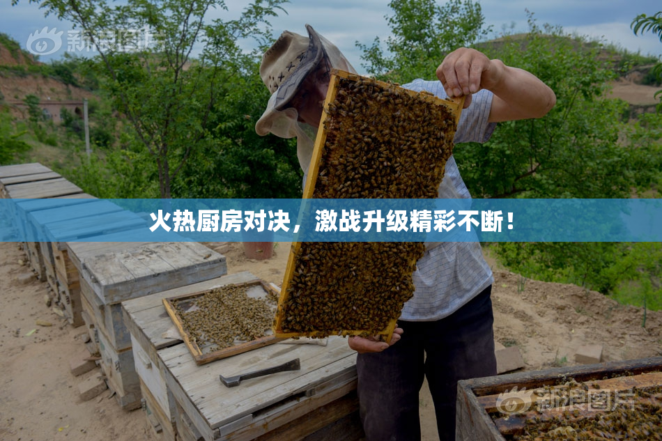 火热厨房对决，激战升级精彩不断！
