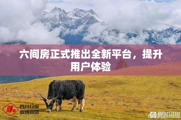 六间房正式推出全新平台，提升用户体验