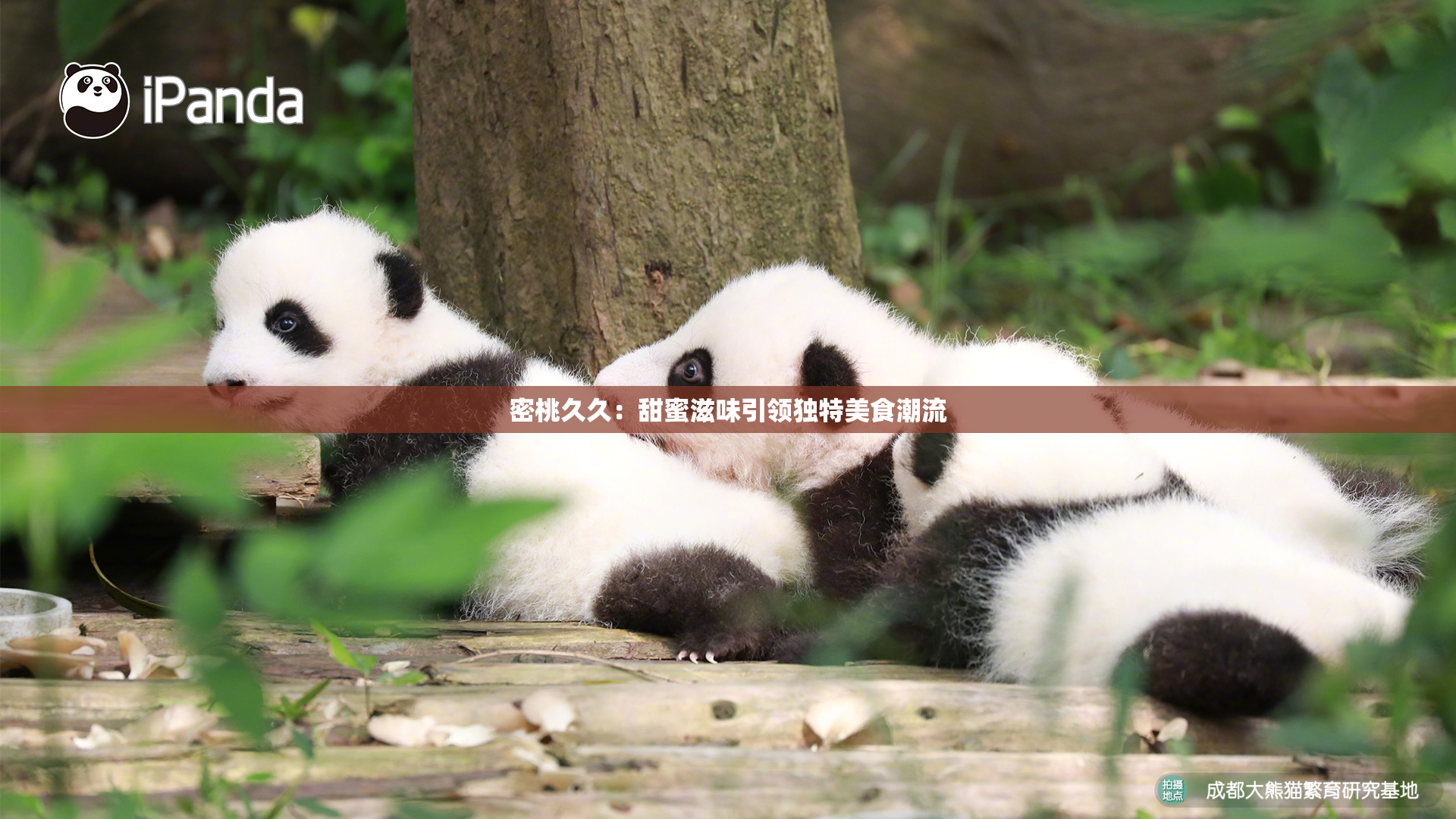密桃久久：甜蜜滋味引领独特美食潮流
