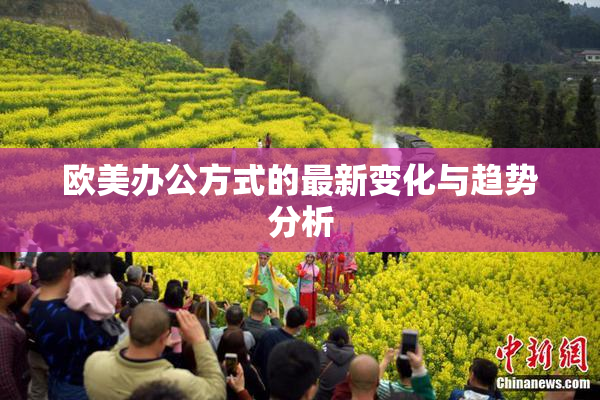 欧美办公方式的最新变化与趋势分析
