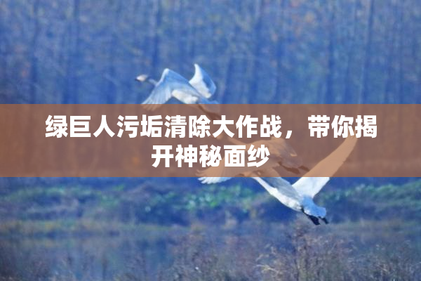 绿巨人污垢清除大作战，带你揭开神秘面纱