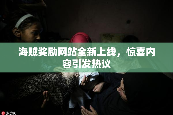 海贼奖励网站全新上线，惊喜内容引发热议