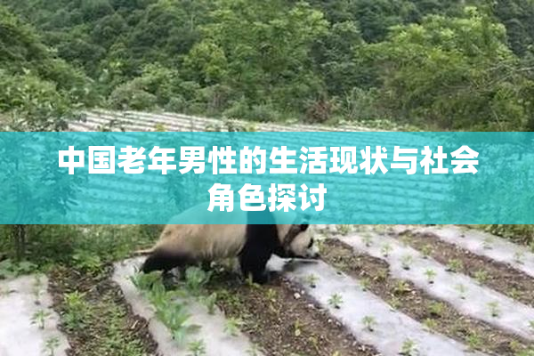 中国老年男性的生活现状与社会角色探讨