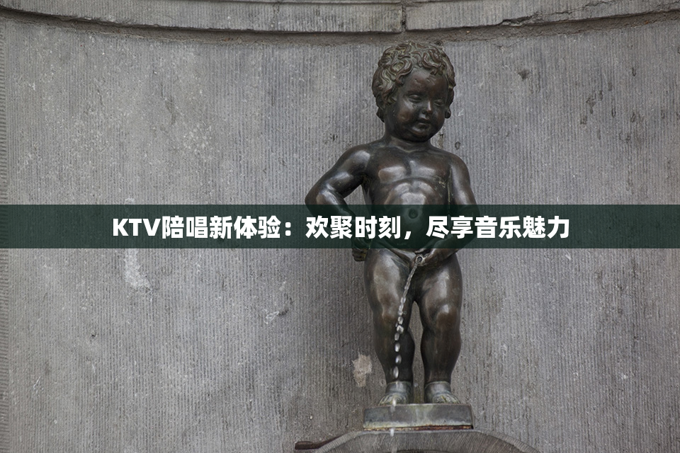 KTV陪唱新体验：欢聚时刻，尽享音乐魅力