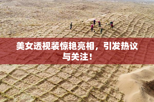 美女透视装惊艳亮相，引发热议与关注！