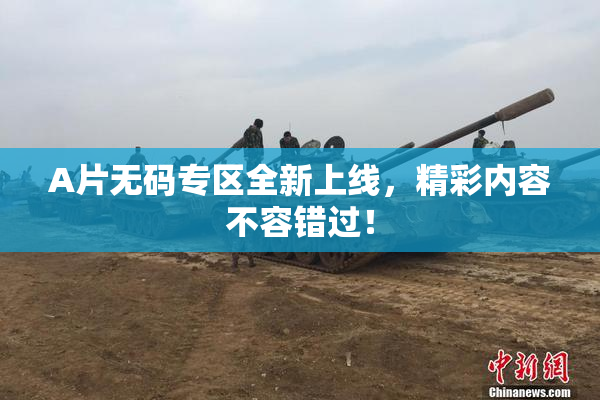 A片无码专区全新上线，精彩内容不容错过！