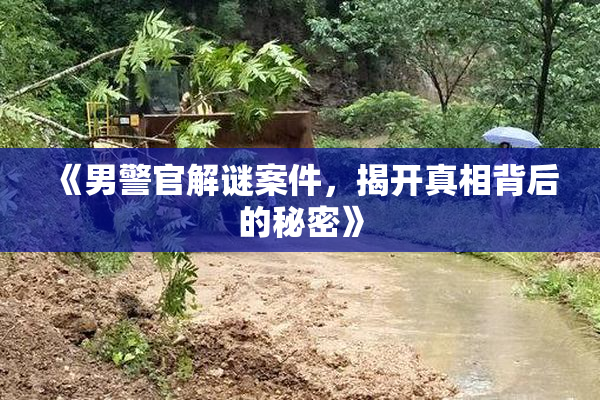 《男警官解谜案件，揭开真相背后的秘密》