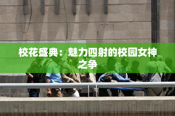 校花盛典：魅力四射的校园女神之争