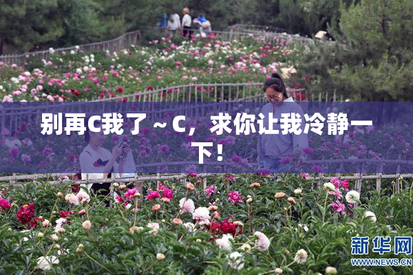 别再C我了～C，求你让我冷静一下！