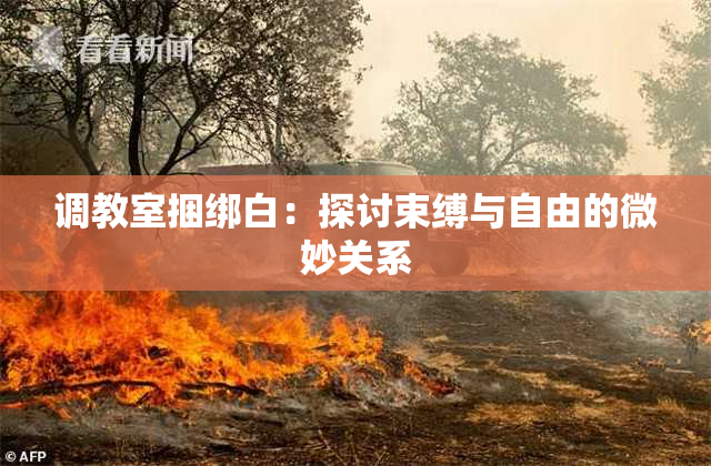 调教室捆绑白：探讨束缚与自由的微妙关系