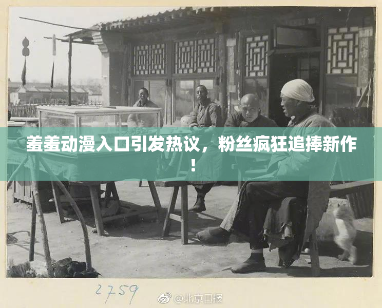 羞羞动漫入口引发热议，粉丝疯狂追捧新作！