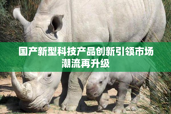 国产新型科技产品创新引领市场潮流再升级